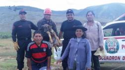 Perro que cayó a un profundo hueco fue rescatado por policías