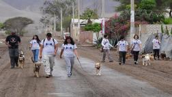 Voluntarios responden al llamado de WUF