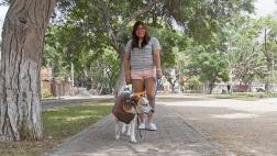 Tito: Ni las piedras apagaron su espíritu