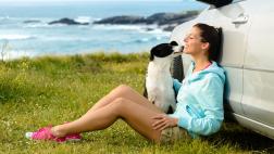Diez consejos para viajar con tu mascota durante el verano