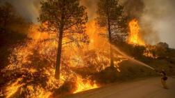 Incendio en California afecta a 500 hectáreas