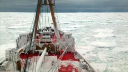 Chile construirá su primer muelle permanente en la Antártida