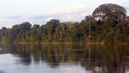 La Amazonía tardará en convertirse en sabana