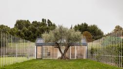 Esta casa tiene espacio para una persona y un árbol