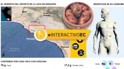 Probarán en el Perú un cultivo de papas que se haría en Marte