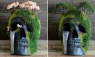 Este cráneo funciona como maceta para decorar con un bonsái