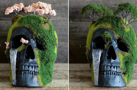 Este cráneo funciona como maceta para decorar con un bonsái