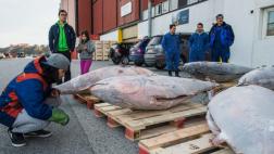 Groenlandia busca sacarle provecho al cambio climático