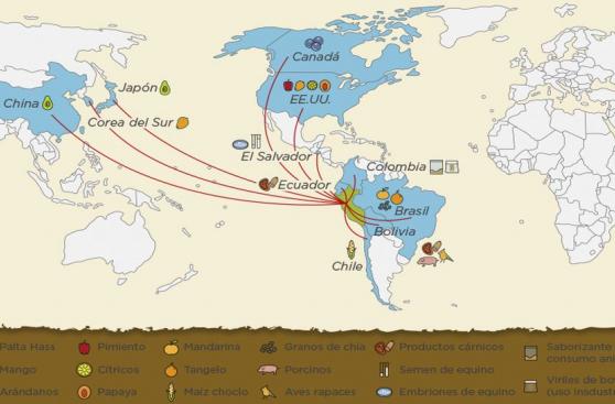Los productos peruanos que conquistan el mundo desde el 2015