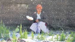 Lluvias y granizada afectan a 500 familias en Junín