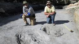 Vinculan marcas con rito de apareamiento de dinosaurios