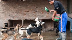Una labor digna, sacrificada y humana