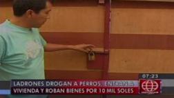 Entraron por el techo, doparon a perros y desvalijaron vivienda