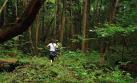 Aokigahara, el bosque suicida de Japón que inspira películas
