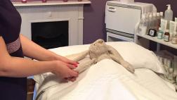 Jellycat, la historia del conejo de peluche perdido en un hotel
