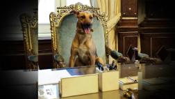 Mauricio Macri mostró a su perro en el sillón presidencial