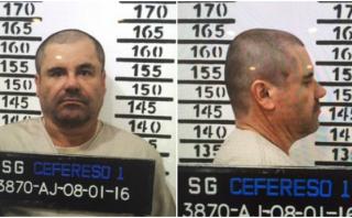 El Chapo Guzmán es vigilado con perros que detectan su olor