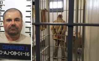 Perro prueba comida de ‘El Chapo’ por temor a envenenamiento