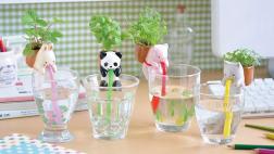 Estos animales beberán agua para mantener vivas tus plantas