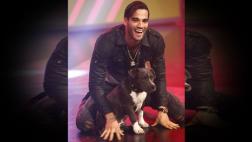"Esto es guerra": Guty Carrera regresó al 'reality show'