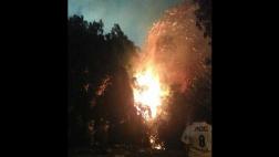 Incendio forestal afectó terreno cerca a cementerio Santa Rosa