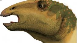 Tailandia: hallan fósil de una nueva especie de dinosaurio
