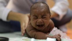 OMS: declaran emergencia sanitaria internacional por zika