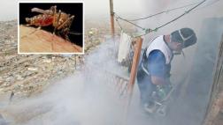 Zika: Minsa declara alerta verde en 20 regiones del Perú