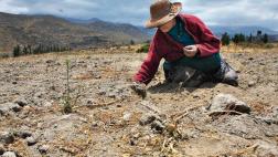 Hoy deciden declaratoria de emergencia en el sur por sequía