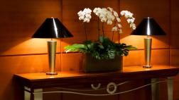 Consejos para mantener tus orquídeas llenas de vida