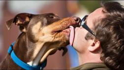 Los dueños de perros son más felices que los dueños de gatos