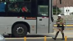 Policía detuvo el tránsito de Metropolitano para salvar a gato