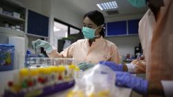 Científicos se comprometen a compartir avances contra el zika