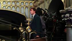 Mira "Fantastic Beasts", ‘spin-of’ del universo Harry Potter