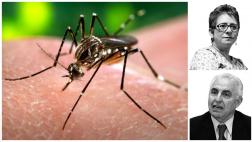 Debate: ¿Permitir el aborto para mujeres infectadas del zika?
