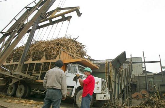 Proyectos Olmos procesará 5.400 toneladas de caña diarias