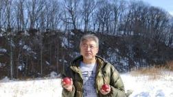 En esta isla japonesa los mangos crecen en la nieve