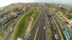 Llevarán 78 árboles de Panamericana Sur al Puente Alipio Ponce