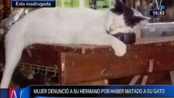 Callao: mujer denuncia a su hermano por dispararle a su gato