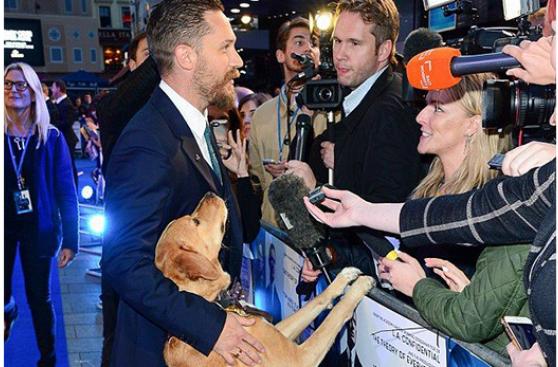 Tom Hardy promueve la adopción con Woody