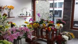 Kukyflor culpa al domingo por menores ventas en San Valentín