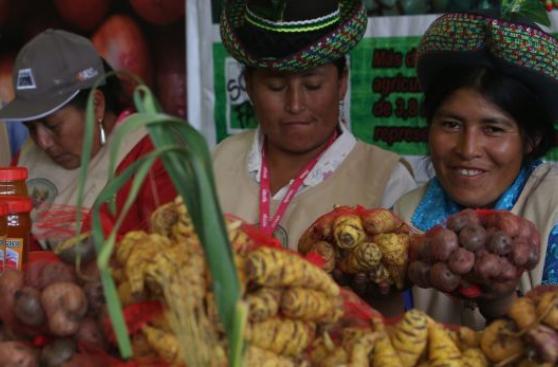 Cien variedades de papa peruana postulan para viajar a Marte