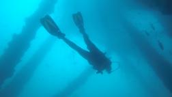 Buceo en el norte: descubre con nosotros el mundo submarino
