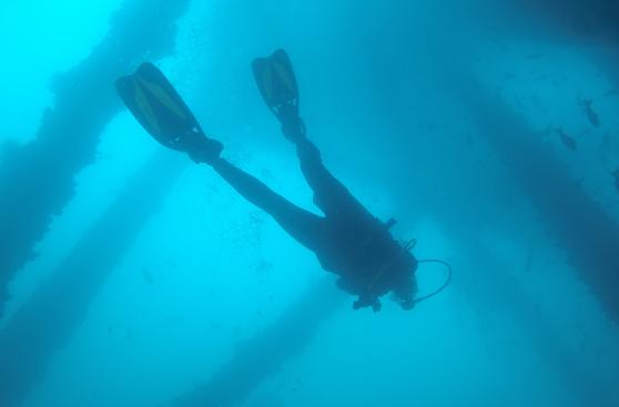 Buceo en el norte: descubre con nosotros el mundo submarino