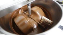 Los hongos pueden tener la clave de los chocolates del futuro