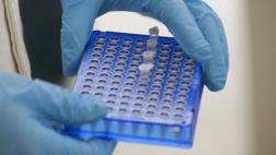 EE.UU. reunirá datos para avanzar en medicina de precisión