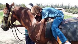 Centro Esperanza y sus 6 caballos de sanación