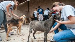 80 perros gozan con visita de WUF