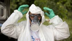 El virus zika se esconde en los santuarios del cuerpo