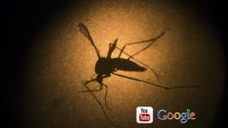 YouTube ayudará a crear conciencia sobre el virus del zika
